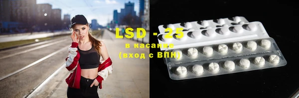 ешки Аркадак