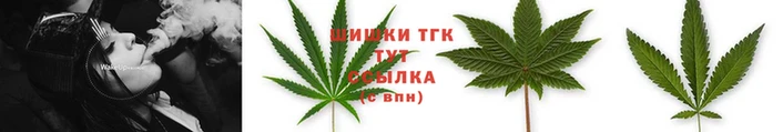 ешки Аркадак
