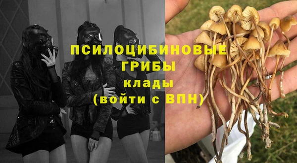 ешки Аркадак